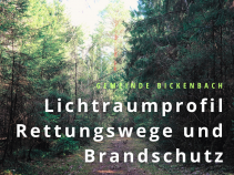 Vorsicht auf den Waldwegen