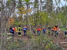 Bickenbach forstet auf