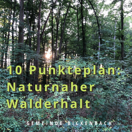 Walderhalt