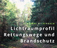 Vorsicht auf den Waldwegen