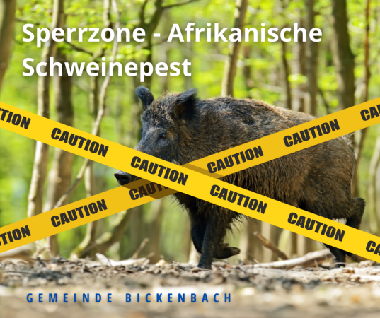 Afrikanische Schweinepest