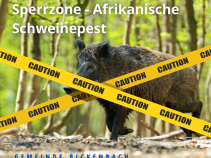 Neue Allgemeinverfügung (Afrikanische-Schweine-Pest ASP)