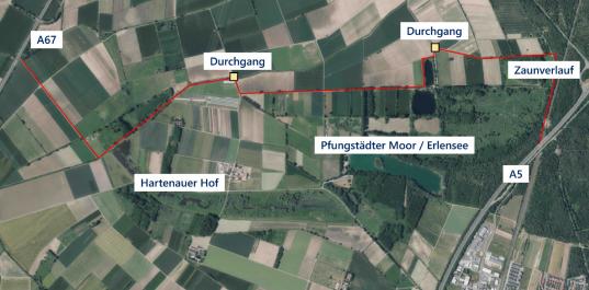 Zaunverlauf A5 bis A67