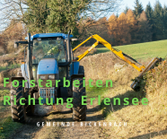 Gehölzpflege entlang der Zufahrt Erlensee