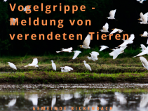 Meldung Vogelgrippe