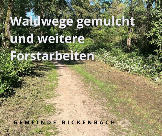 Waldweg